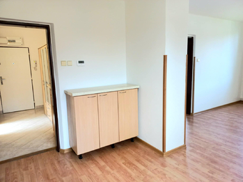 Průhled do chodby z pokoje. - Pronájem bytu 3+kk v osobním vlastnictví 90 m², Veselí nad Lužnicí