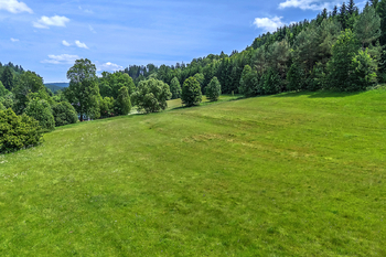 Prodej pozemku 4322 m², Červená Voda