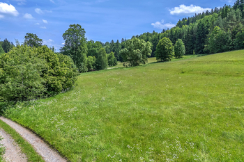 Prodej pozemku 4322 m², Červená Voda