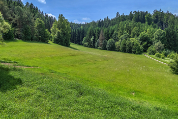 Prodej pozemku 4322 m², Červená Voda