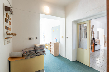 Prodej domu 686 m², Bučovice