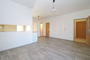 obývací pokoj - Pronájem bytu 3+kk v osobním vlastnictví 100 m², Plzeň