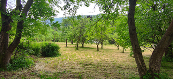 Prodej domu 208 m², Karlovice