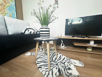 Prodej bytu 2+1 v družstevním vlastnictví 54 m², Světlá nad Sázavou