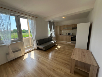 Pronájem bytu 1+kk v osobním vlastnictví 27 m², Slavkov u Brna