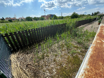 Pronájem bytu 1+kk v osobním vlastnictví 27 m², Slavkov u Brna