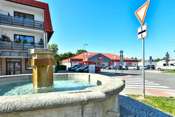 Česká Skalice -obchody - Pronájem domu 229 m², Česká Skalice