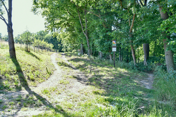 okolí domu - Pronájem domu 229 m², Česká Skalice