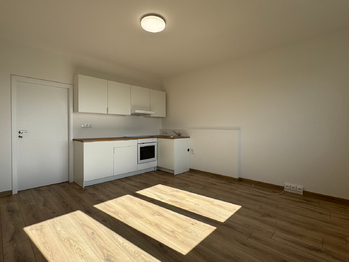 Pronájem bytu 2+kk v družstevním vlastnictví 42 m², Ústí nad Labem