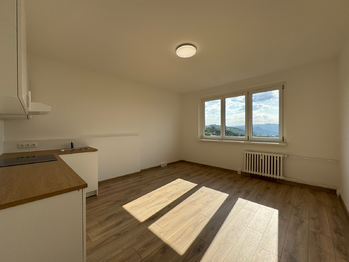 Pronájem bytu 2+kk v družstevním vlastnictví 42 m², Ústí nad Labem