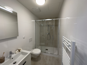Pronájem bytu 2+kk v osobním vlastnictví 62 m², Brno