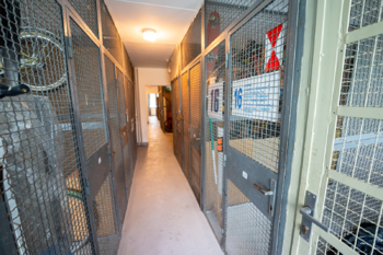 Prodej bytu 3+kk v osobním vlastnictví 71 m², Čelákovice