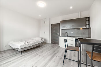 Pronájem bytu 1+kk v osobním vlastnictví 25 m², Praha 6 - Břevnov