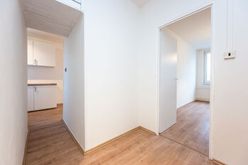Pronájem bytu 3+kk v družstevním vlastnictví 70 m², Praha 3 - Žižkov