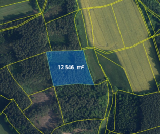 Prodej pozemku 66688 m², Bílá