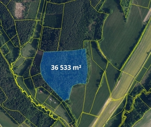 Prodej pozemku 66688 m², Bílá