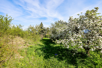 Zeleň všude kam se podíváte - Prodej pozemku 1106 m², Teplice