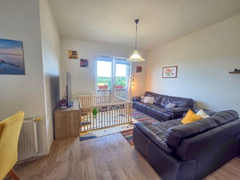 obývací pokoj - Pronájem bytu 3+kk v osobním vlastnictví 103 m², České Budějovice