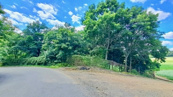 Prodej pozemku 4529 m², Říčany
