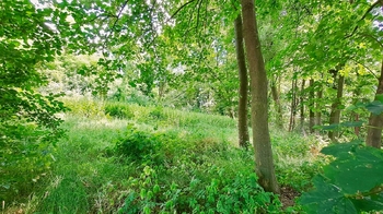 Prodej pozemku 4529 m², Říčany