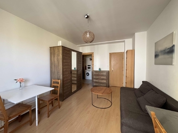 obývací pokoj - Pronájem bytu 2+1 v osobním vlastnictví 42 m², Praha 7 - Holešovice