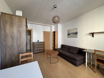 obývací pokoj - Pronájem bytu 2+1 v osobním vlastnictví 42 m², Praha 7 - Holešovice