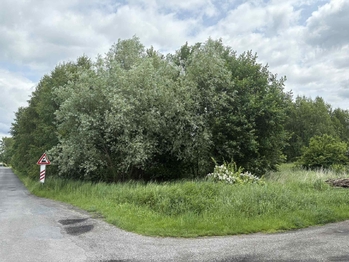 Prodej pozemku 9386 m², Petrovice u Karviné