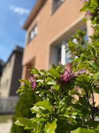 Prodej domu 224 m², Hradec nad Moravicí