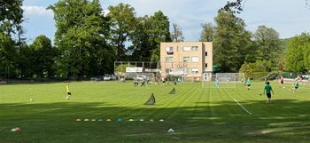 Prodej domu 224 m², Hradec nad Moravicí