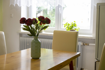 Prodej domu 224 m², Hradec nad Moravicí