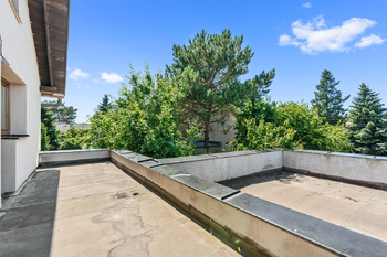 1.NP Terasa - z koupelny a pokoje - Prodej domu 254 m², Zdiby