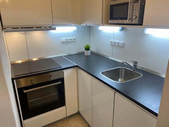 Pronájem bytu 3+1 v osobním vlastnictví 65 m², Praha 6 - Bubeneč