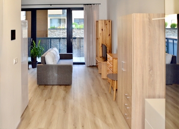 Pronájem bytu 1+kk v družstevním vlastnictví 44 m², Mladá Boleslav