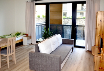 Pronájem bytu 1+kk v družstevním vlastnictví 44 m², Mladá Boleslav