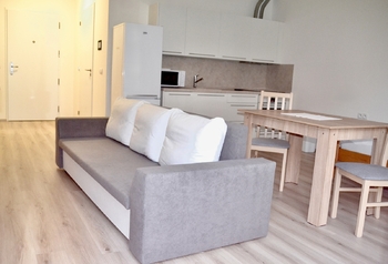 Pronájem bytu 1+kk v družstevním vlastnictví 44 m², Mladá Boleslav
