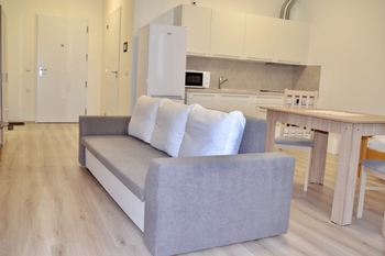 Pronájem bytu 1+kk v družstevním vlastnictví 44 m², Mladá Boleslav