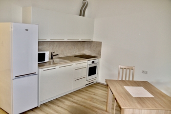 Pronájem bytu 1+kk v družstevním vlastnictví 44 m², Mladá Boleslav