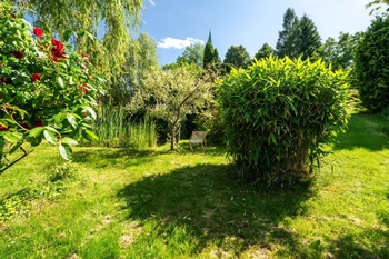 Prodej ubytovacího zařízení 358 m², Včelákov