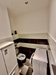 Pronájem bytu 2+1 v družstevním vlastnictví 54 m², Volary