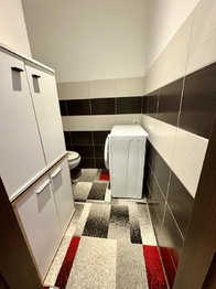 Pronájem bytu 2+1 v družstevním vlastnictví 54 m², Volary