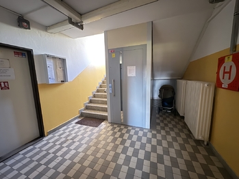 Pronájem bytu 2+1 v družstevním vlastnictví 54 m², Volary