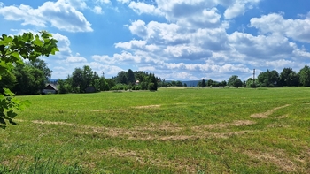 Prodej pozemku 25976 m², Stachy