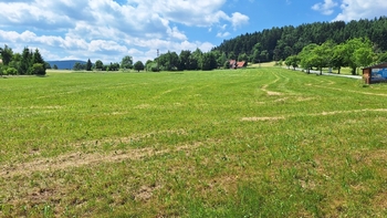 Prodej pozemku 25976 m², Stachy
