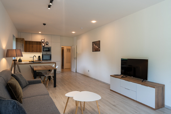 Prodej bytu atypický v osobním vlastnictví 60 m², Velké Karlovice