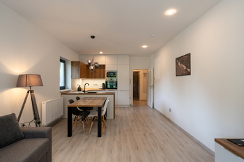 Prodej bytu atypický v osobním vlastnictví 60 m², Velké Karlovice