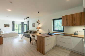 Prodej bytu atypický v osobním vlastnictví 60 m², Velké Karlovice
