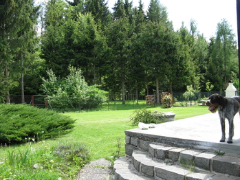 Prodej pozemku 725 m², Voznice