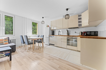 Prodej bytu 1+1 v osobním vlastnictví 50 m², Praha 3 - Žižkov