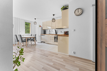 Prodej bytu 3+kk v osobním vlastnictví 64 m², Praha 3 - Žižkov