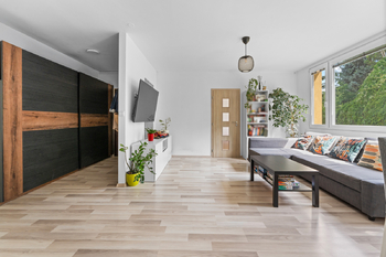 Prodej bytu 3+kk v osobním vlastnictví 64 m², Praha 3 - Žižkov